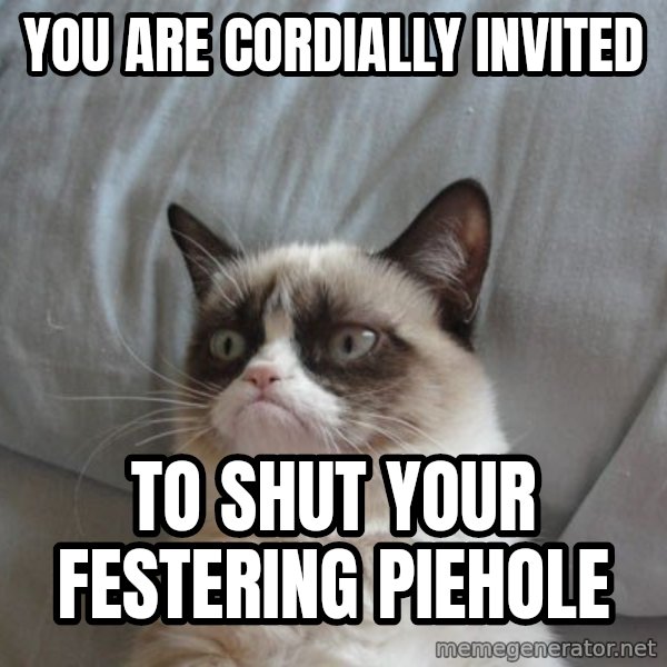 Grumpy cat good meme: YOU ARE CORDIALLY INVITED / TO SHUT YOUR FESTERING PIEHOLE
