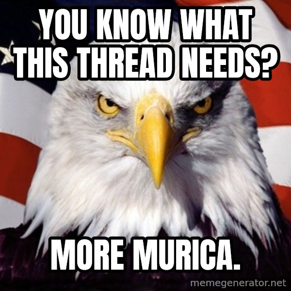 American Pride Eagle meme: You know what this thread needs? / more murica.