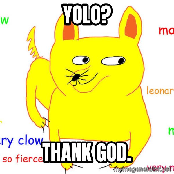 Grumpy Cat  meme: yolo? / thank god.