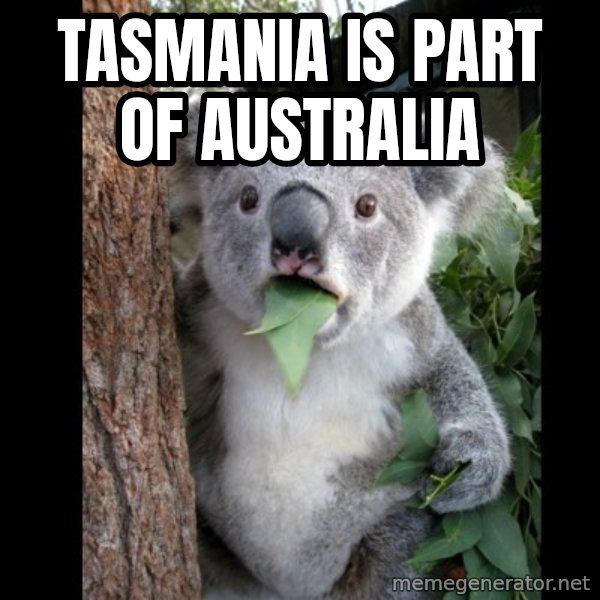 Koala can't believe it meme: Tasmania is part of Australia