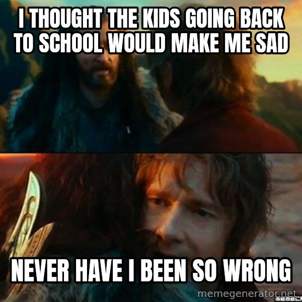 Never Have I Been So Wrong meme: i thought the kids going back to school would make me sad / never have i been so wrong