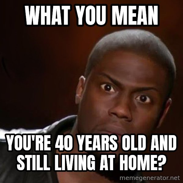 kevin hart nigga meme: What you mean / you're 40 years old and still living at home?