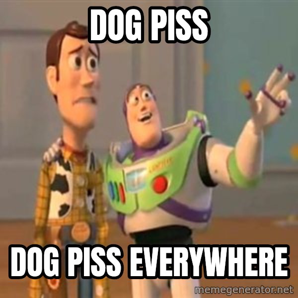 X, X Everywhere  meme: dog piss / dog piss everywhere