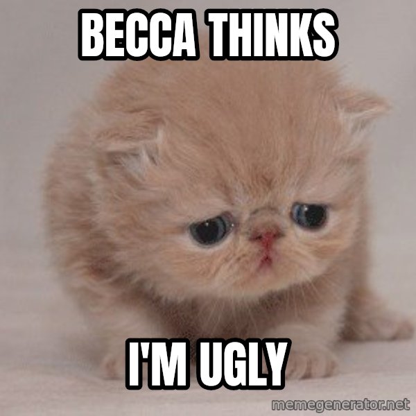 Sadcat meme: Becca thinks / I'm ugly