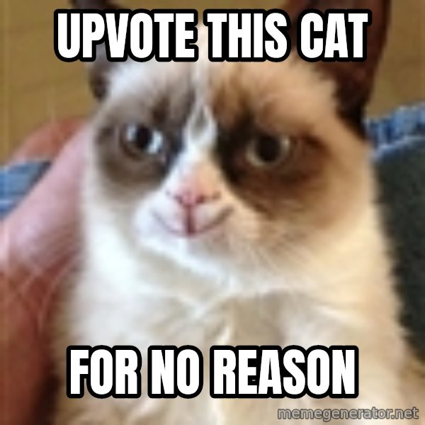 Happy Grumpy Cat 2 meme: upvote this cat / for no reason