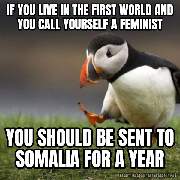 Unpopular Opinion Puffin meme: If you live in the first world and you call yourself a feminist / You should be sent to Somalia for a year