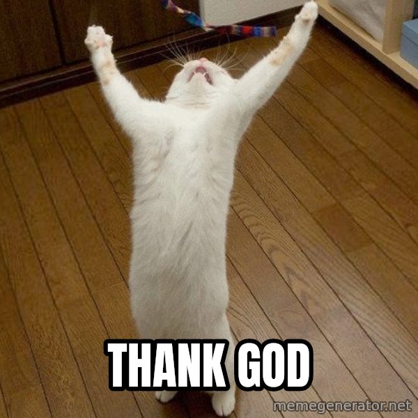 praise the lord cat meme: THANK GOD