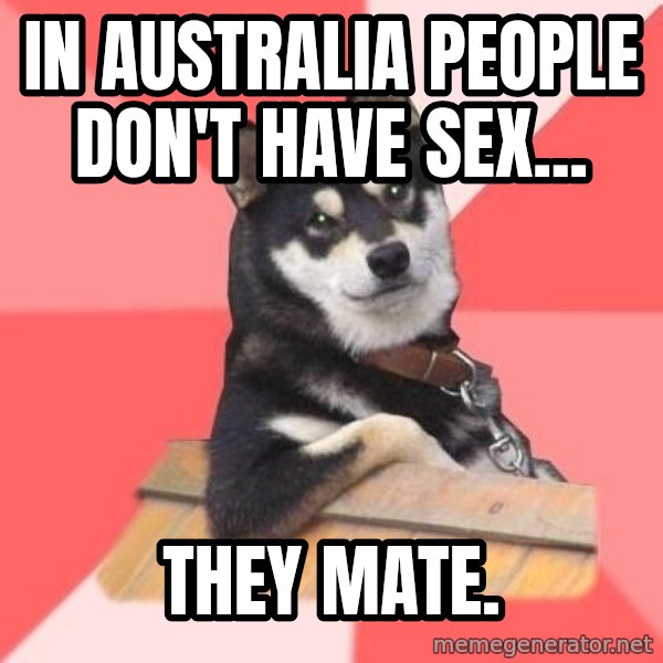 Cool Dog meme: In Australia people don't have sex... / They mate.