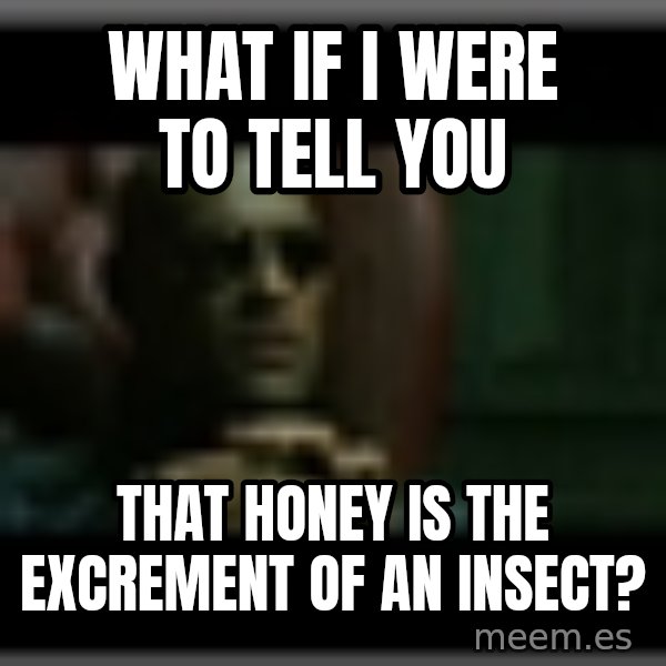 Morpheusone meme: What if I were to tell you / that honey is the excrement of an insect?