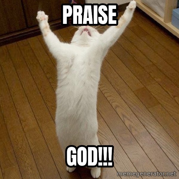 praise the lord cat meme: PRAISE / GOD!!!