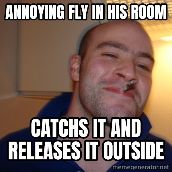 Good Guy Greg meme: Annoying fly in his room / Catchs it and releases it outside