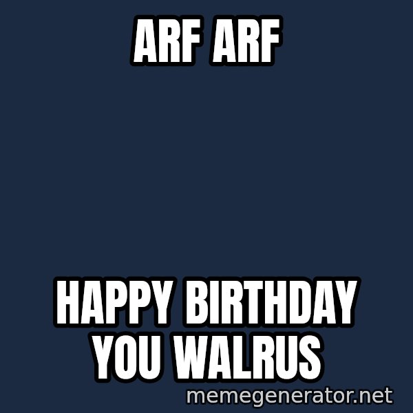 Walrus meme: Arf arf / Happy birthday you walrus