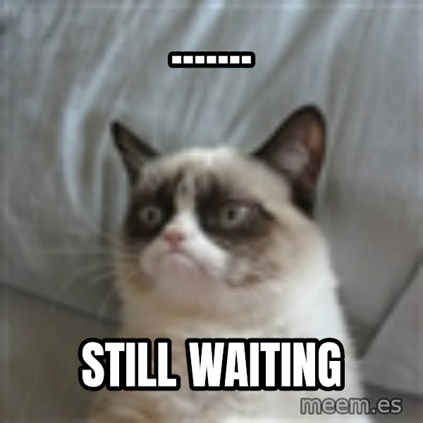 Grumpy Cat ={ meme: ....... / Still waiting