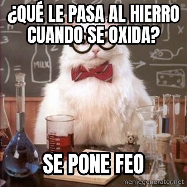 Chemistry Cat meme: ¿Qué le pasa al hierro cuando se oxida? / Se pone FEO