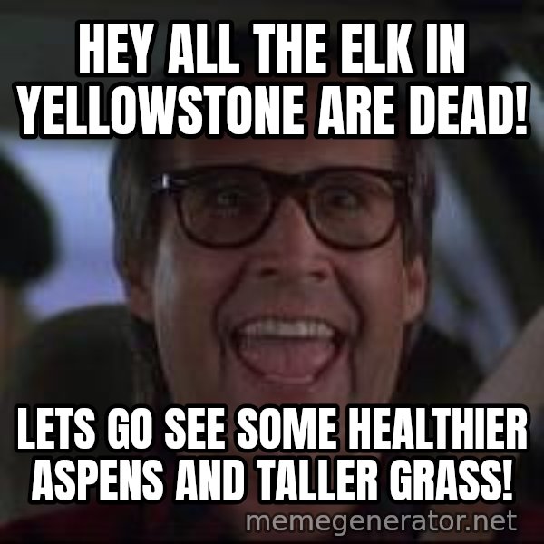 Chevy Chase Christmas Vacation meme: Hey all the elk in Yellowstone are dead! / Lets go see some healthier aspens and taller grass!