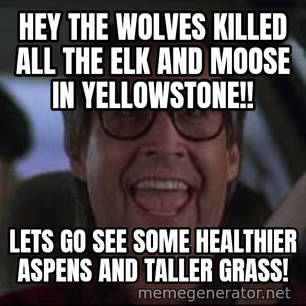 Chevy Chase Christmas Vacation meme: Hey the wolves killed all the elk and moose in Yellowstone!! / Lets go see some healthier aspens and taller grass!