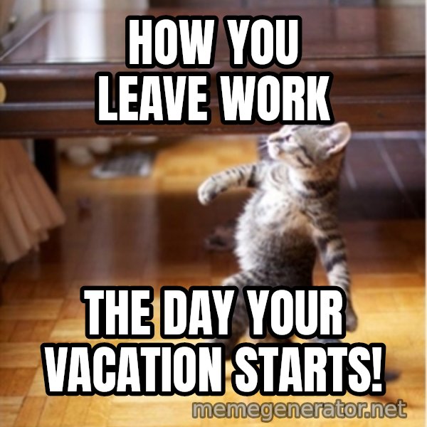 walking cat meme: how you leave work / the day your vacation starts!
