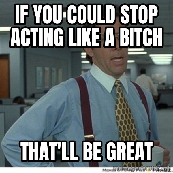 That would be great meme: IF YOU COULD STOP ACTING LIKE A BITCH / THAT'LL BE GREAT