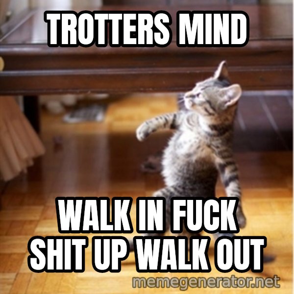 walking cat meme: Trotters mind / Walk in fuck shit up walk out