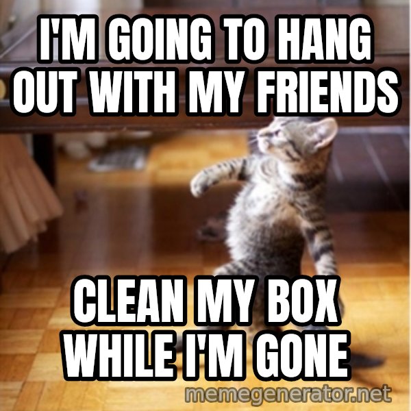 walking cat meme: i'm going to hang out with my friends / clean my box while i'm gone