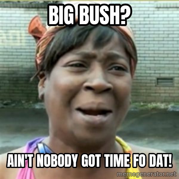 Ain't Nobody got time fo that meme: Big bush? / Ain't nobody got time fo dat!