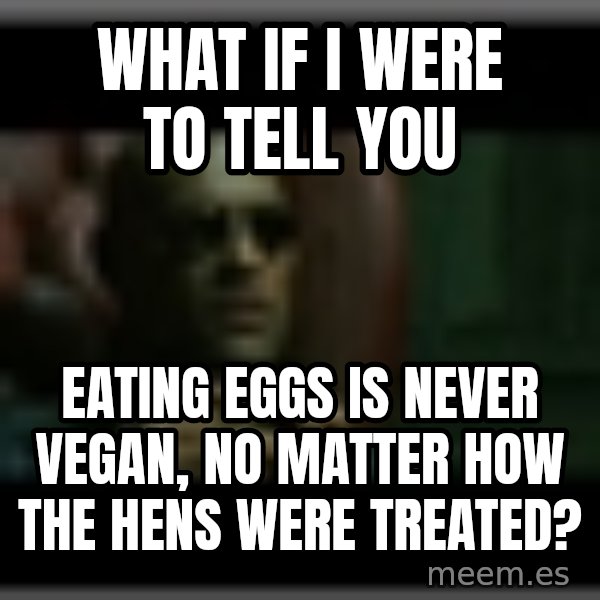 Morpheusone meme: what if i were to tell you / eating eggs is never vegan, no matter how the hens were treated?