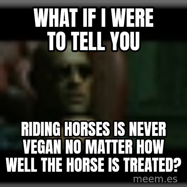 Morpheusone meme: What if I were to tell you / riding horses is never vegan no matter how well the horse is treated?