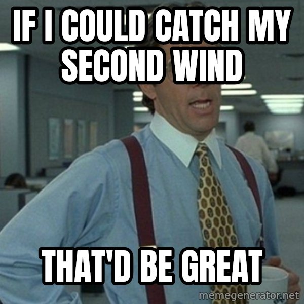 Yeah that'd be great... meme: if i could catch my second wind / that'd be great