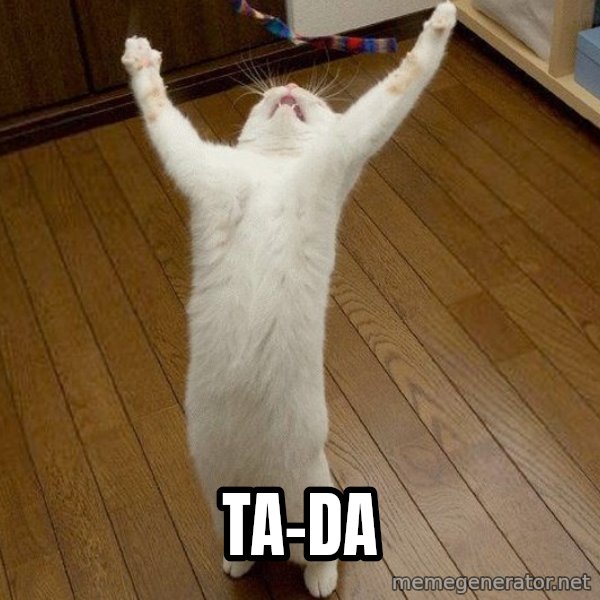 praise the lord cat meme: ta-da