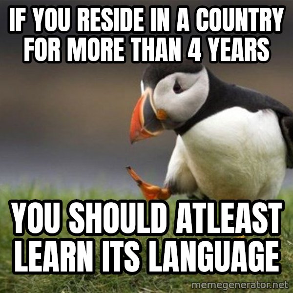 Unpopular Opinion Puffin meme: If you reside in a country for more than 4 years / You should atleast learn its language