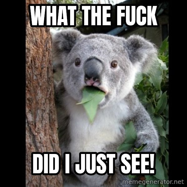 Koala can't believe it meme: What the fuck / did I just see!