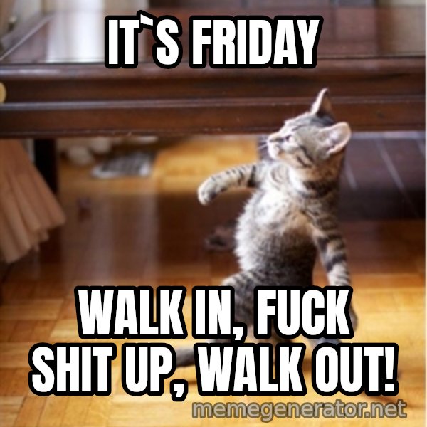 walking cat meme: IT`S FRIDAY / Walk in, fuck shit up, walk out!