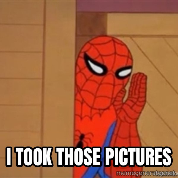 Psst spiderman meme: i took those pictures
