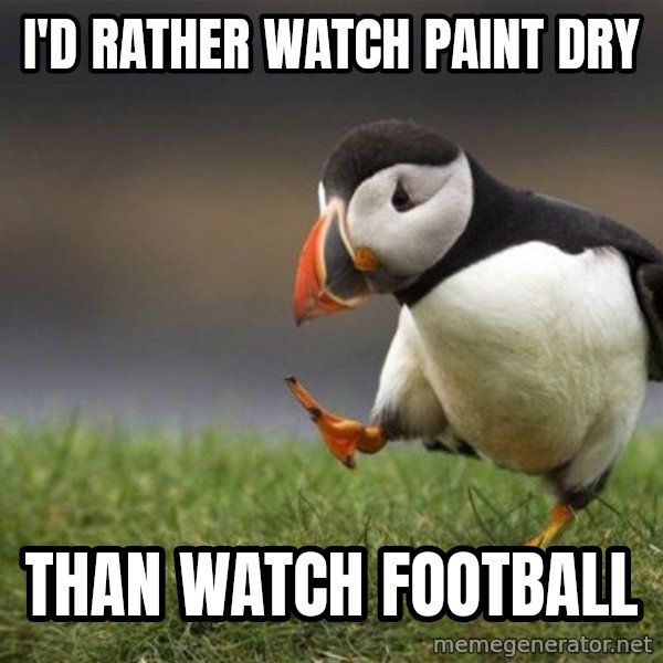 Unpopular Opinion Puffin meme: I'd rather watch paint dry / than watch football