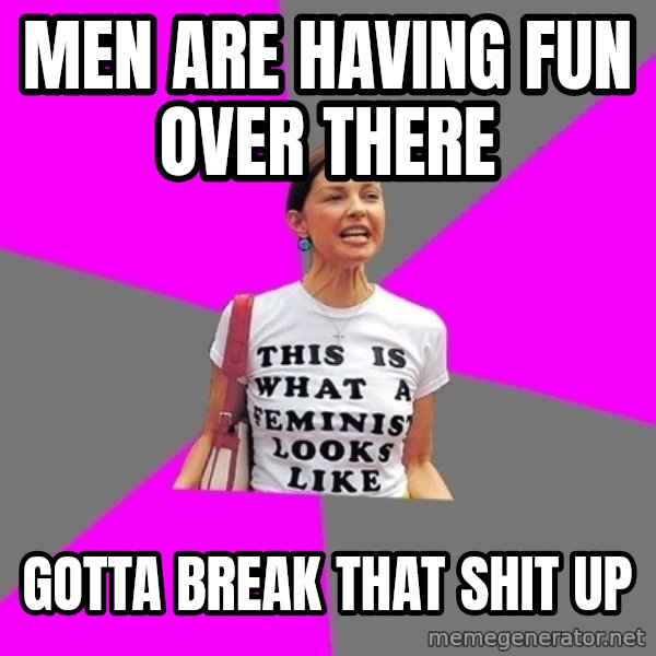 Feminist Cunt meme: men are having fun over there / gotta break that shit up