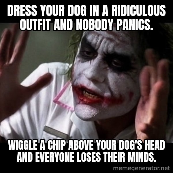 joker mind loss meme: Dress your dog in a ridiculous outfit and nobody panics. / Wiggle a chip above your dog's head and everyone loses their minds.