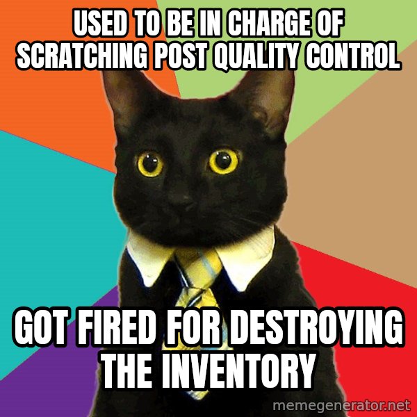 Business Cat meme: used to be in charge of scratching post quality control / got fired for destroying the inventory