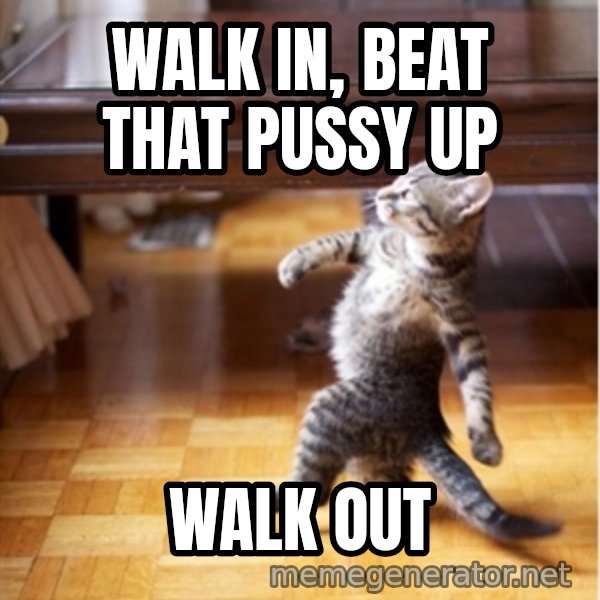 walking cat meme: walk in, beat that pussy up / walk out
