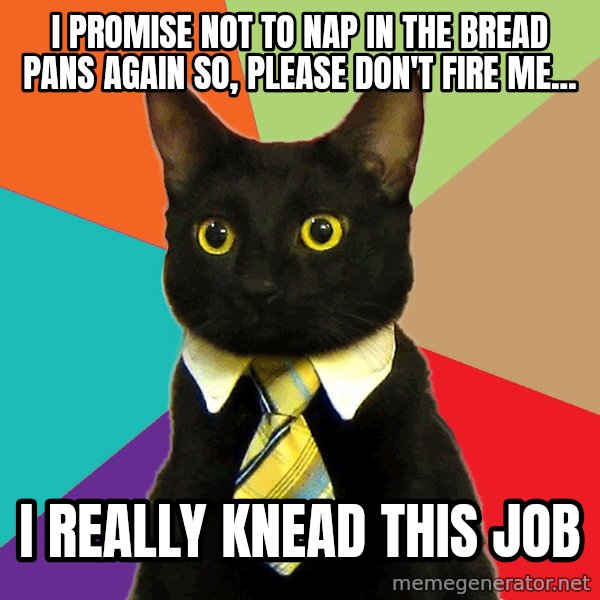 Business Cat meme: I promise not to nap in the bread pans again so, please don't fire me... / I really knead this job