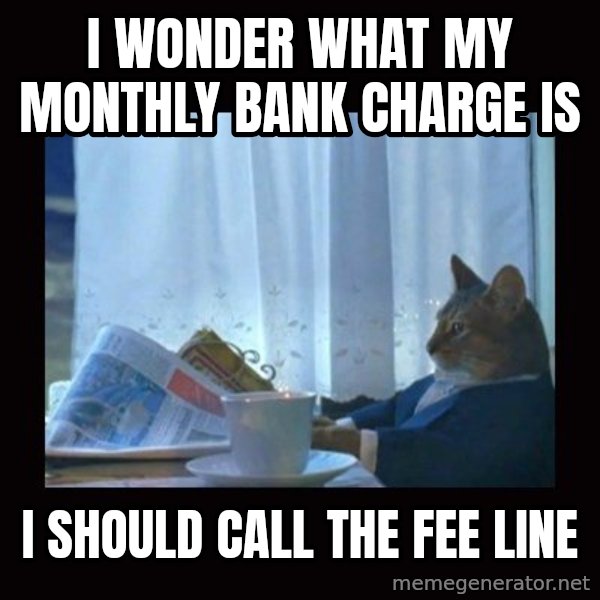 i should buy a boat cat meme: I WONDER WHAT MY MONTHLY BANK CHARGE IS / i SHOULD CALL THE FEE LINE