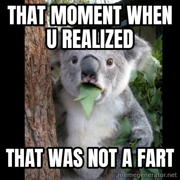 Koala can't believe it meme: That moment when u Realized / That was not a fart