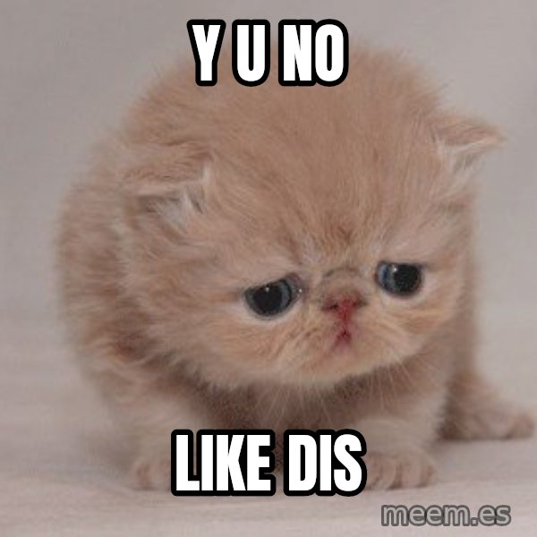 Super Sad Cat meme: Y U NO / LIKE DIS