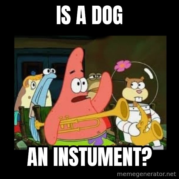 Patrick Star Instrument meme: Is a dog / an instument?