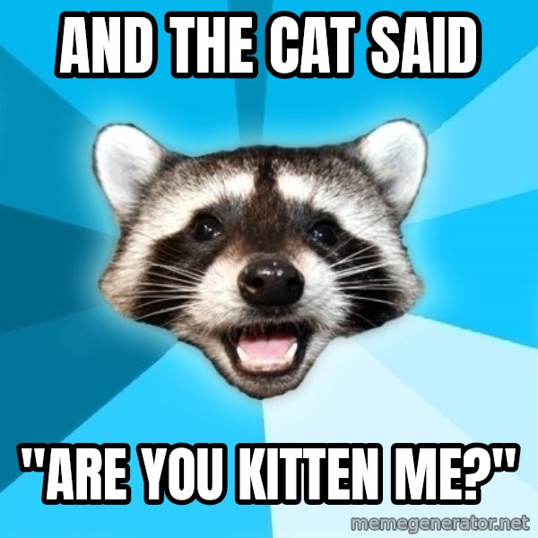 Lame Pun Coon meme: and the cat said / "are you kitten me?"