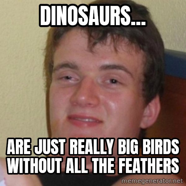 Stoner Stanley meme: dinosaurs... / are just really big birds without all the feathers