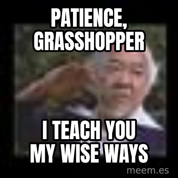 Mr Miyagi meme: Patience, Grasshopper / I teach you my wise ways