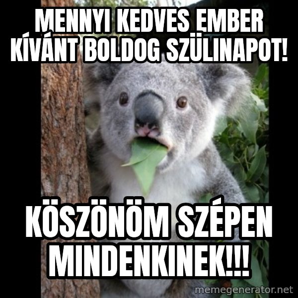Koala can't believe it meme: mennyi kedves ember kívánt boldog szülinapot! / Köszönöm szépen mindenkinek!!!
