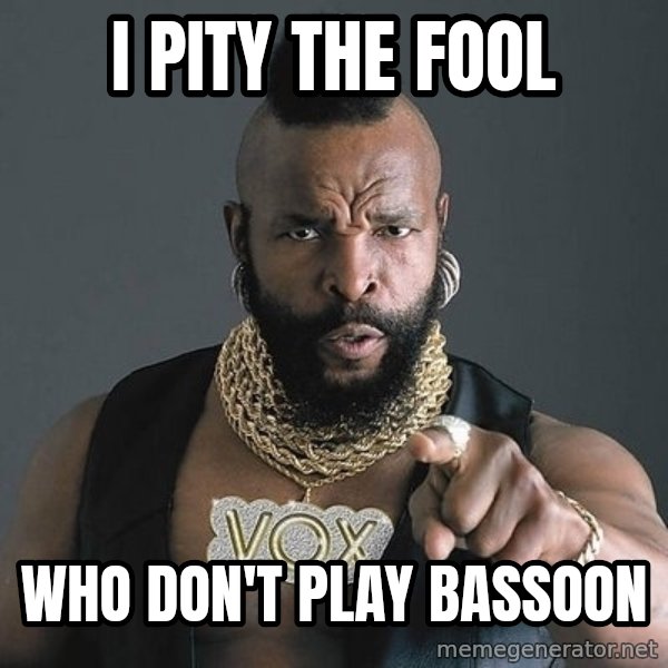 Mr T meme: I pity the fool / who don't play bassoon