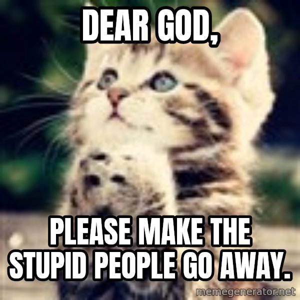 Praying Kitten meme: dear god, / please make the stupid people go away.
