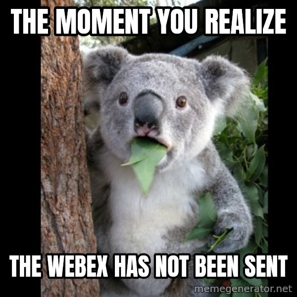 Koala can't believe it meme: The moment you realize / the webex has not been sent